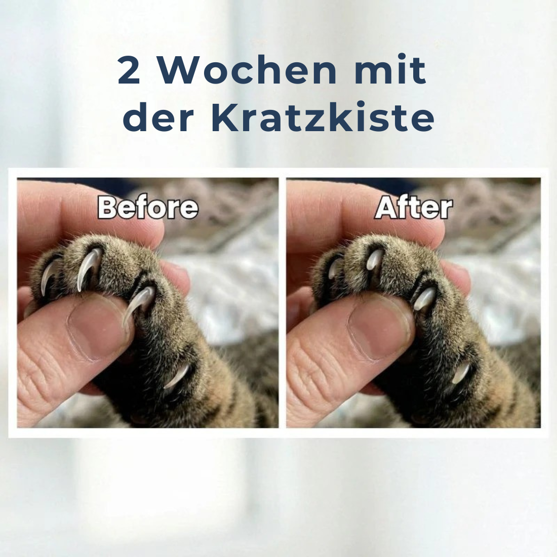 Kratzkiste