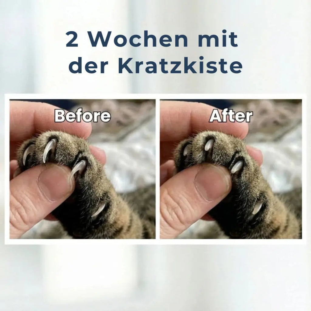 KratzKiste