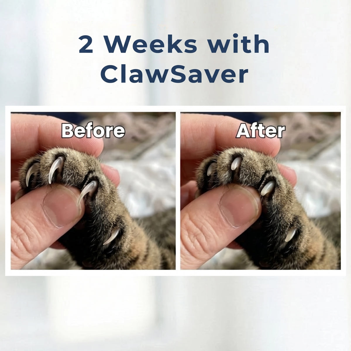 ClawSaver