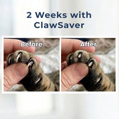 ClawSaver